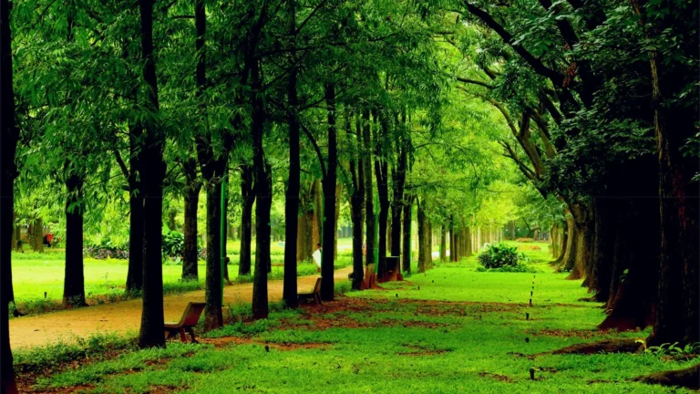 Cubbon_Park-scaled